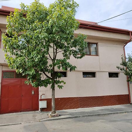 Z Villa بوخارست المظهر الخارجي الصورة